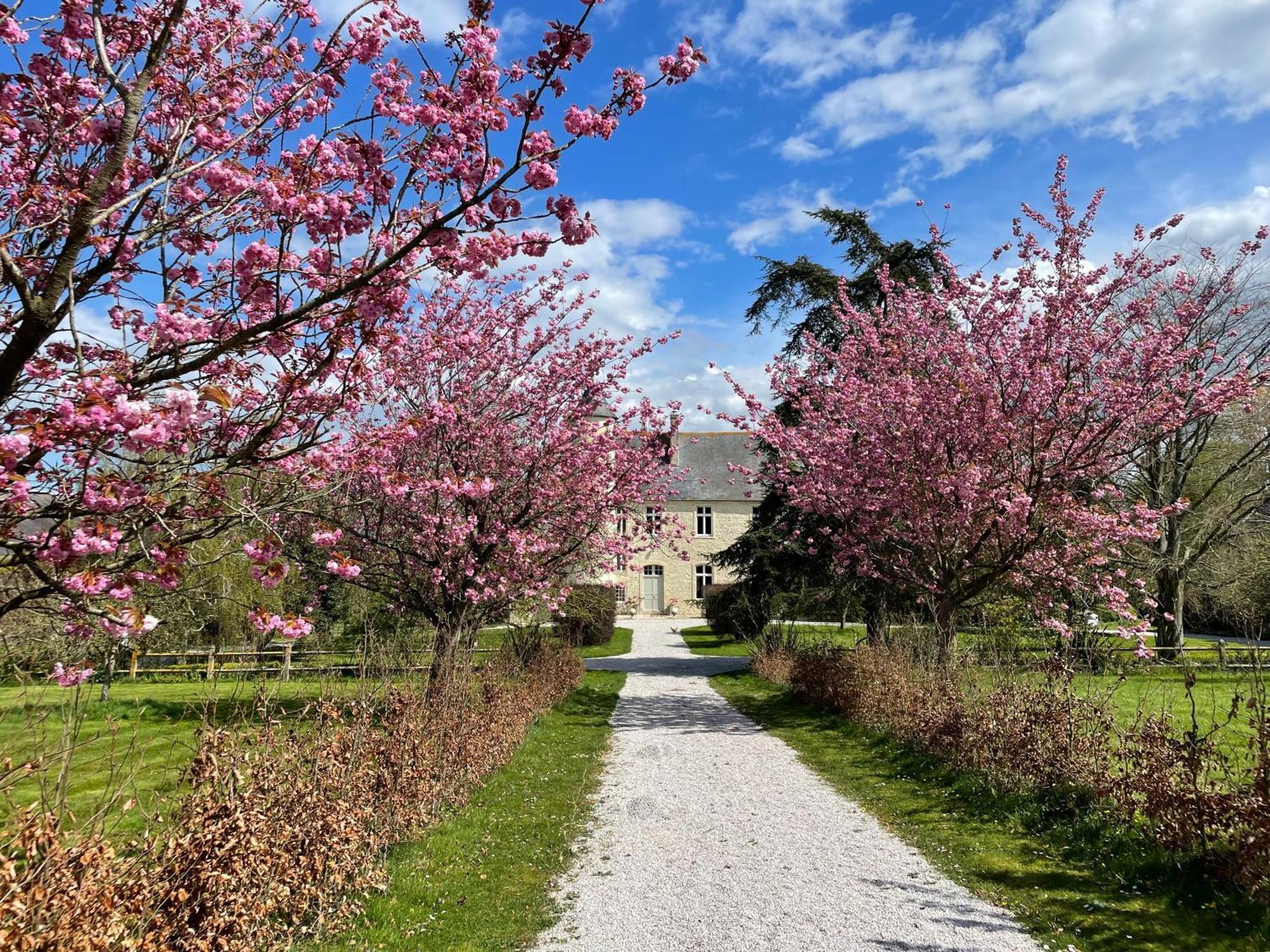 Chateau De Monfreville Exterior foto