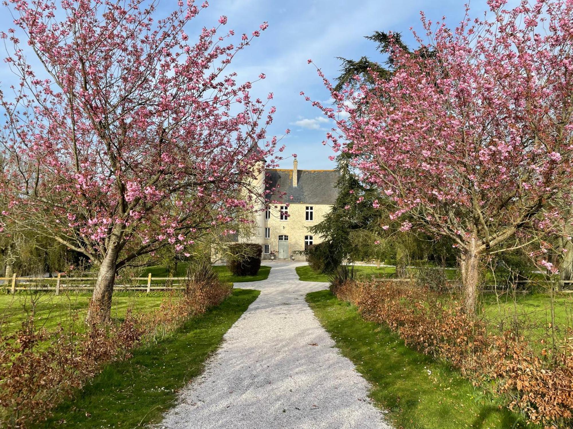 Chateau De Monfreville Exterior foto